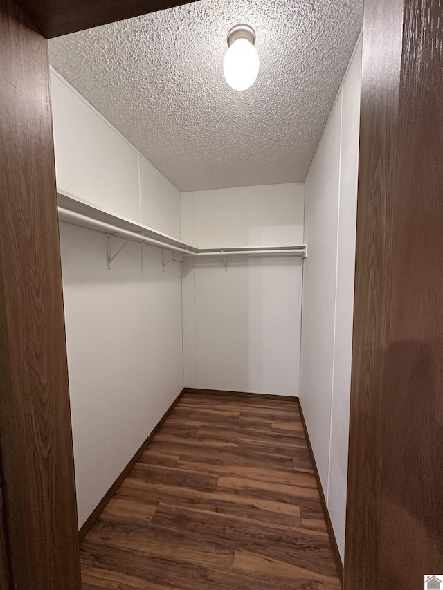 spacious closet featuring dark wood-type flooring