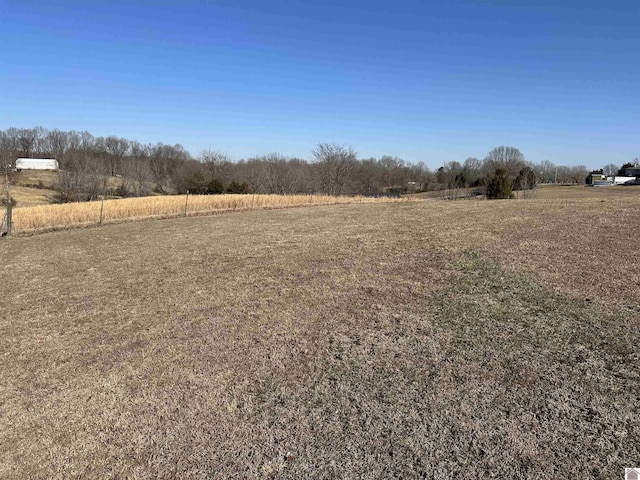 view of yard featuring a rural view