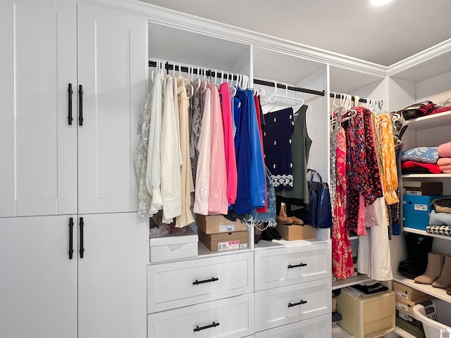 view of walk in closet