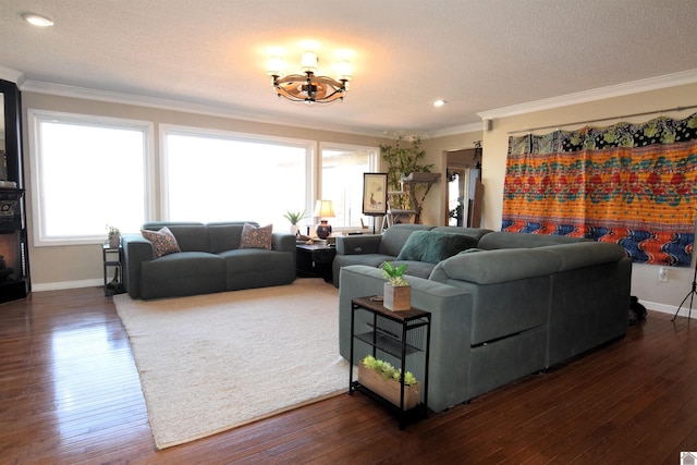 living room featuring crown molding, dark hardwood / wood-style floors, and a textured ceiling