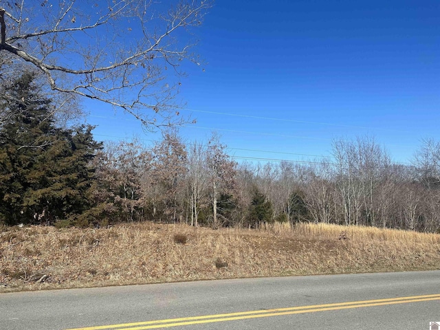 00 Caaledonia Rd, Cadiz KY, 42211 land for sale