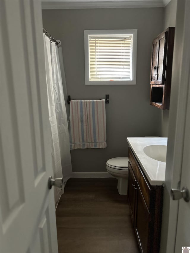 bathroom featuring hardwood / wood-style flooring, vanity, and toilet