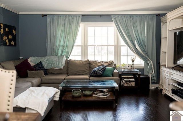 living room featuring ornamental molding and dark wood-style flooring