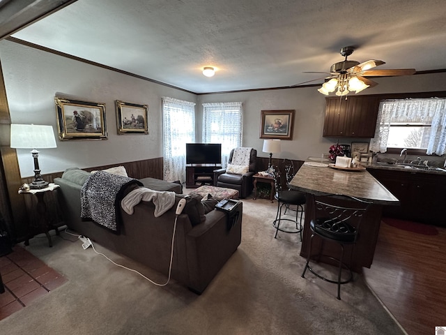 living room with sink, crown molding, a textured ceiling, wooden walls, and carpet flooring