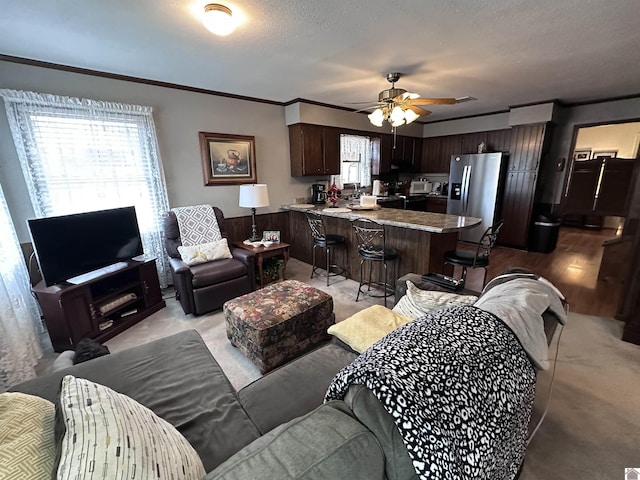 living room featuring ceiling fan, ornamental molding, and a textured ceiling