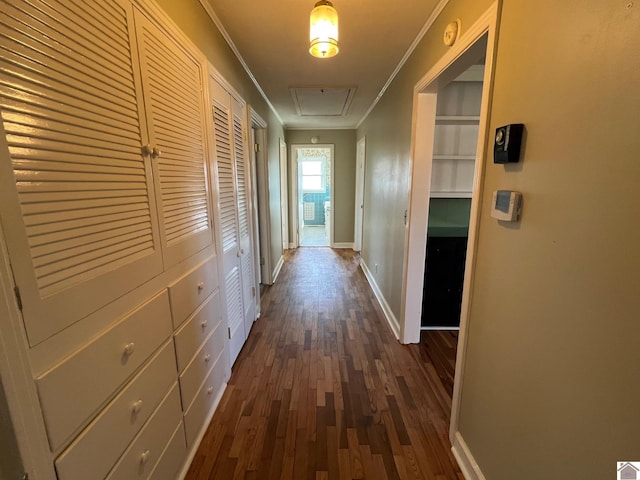 corridor featuring crown molding and dark wood-type flooring