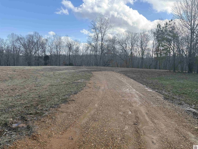 1802 Bryant Rd, Benton KY, 42025 land for sale