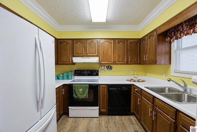 kitchen featuring sink, light hardwood / wood-style flooring, electric range, black dishwasher, and white fridge