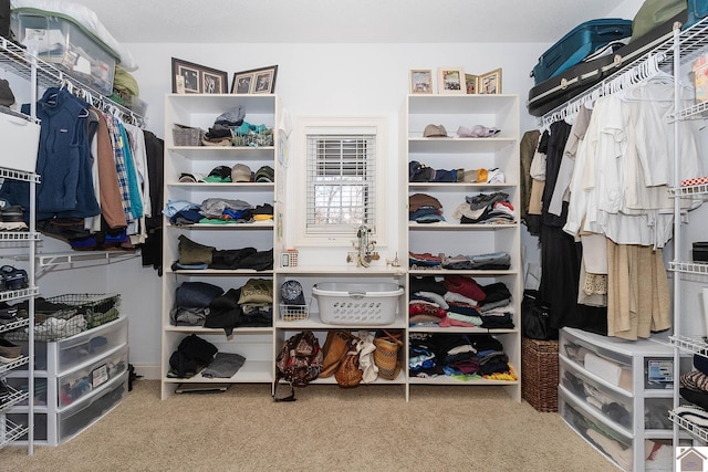 walk in closet featuring carpet