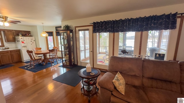 living room featuring ceiling fan and light wood-type flooring