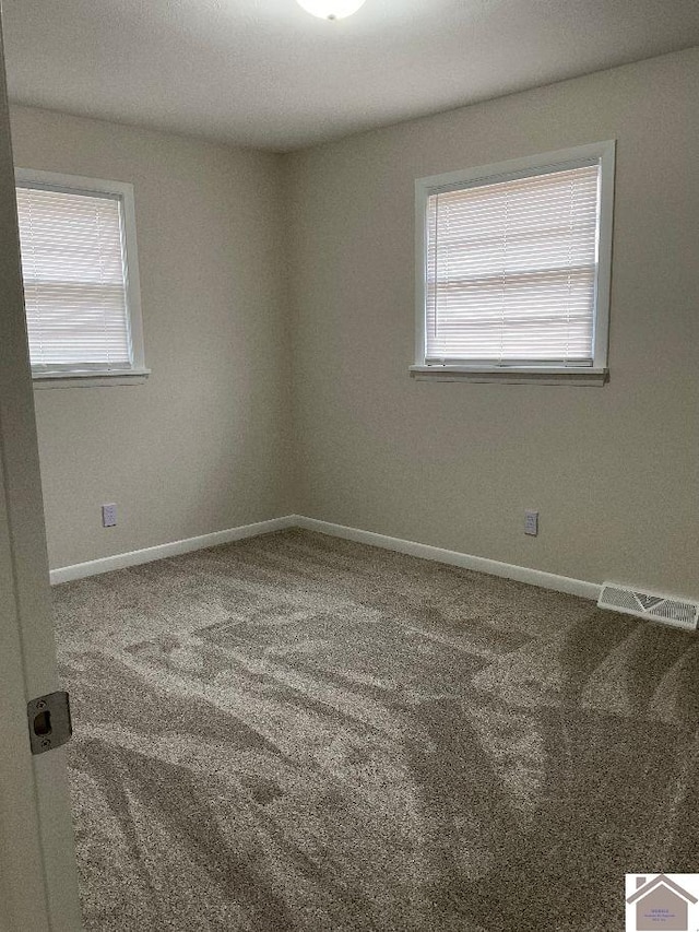 empty room featuring plenty of natural light and carpet floors