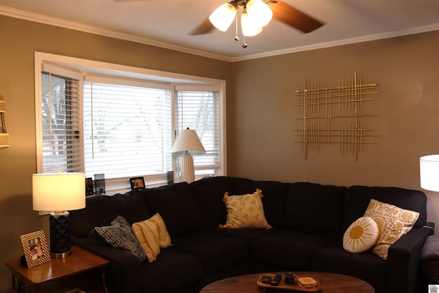 living room with crown molding and ceiling fan