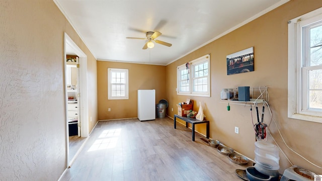 misc room featuring crown molding, light hardwood / wood-style floors, and ceiling fan