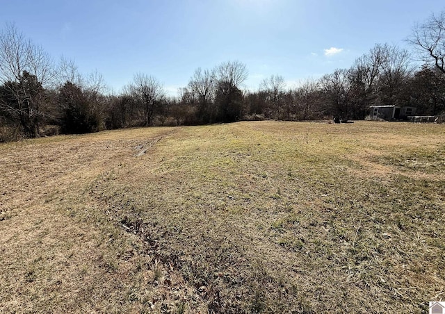 view of yard featuring a rural view