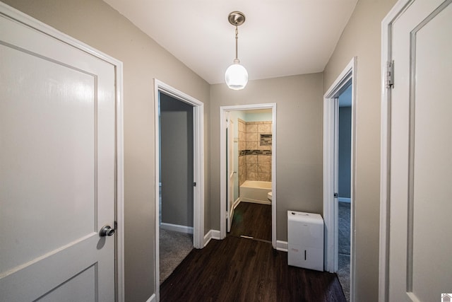 hallway with dark hardwood / wood-style floors