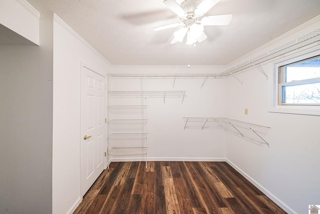 8200 Houser Rd, Boaz, Mccracken, KY 42027 - walk in closet featuring ceiling fan and dark hardwood / wood-style flooring