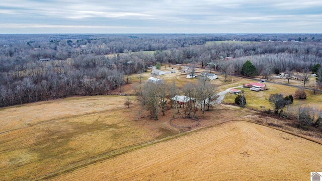 8200 Houser Rd, Boaz, Mccracken, KY 42027 - aerial view featuring a rural view