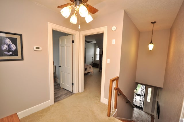 corridor with light colored carpet