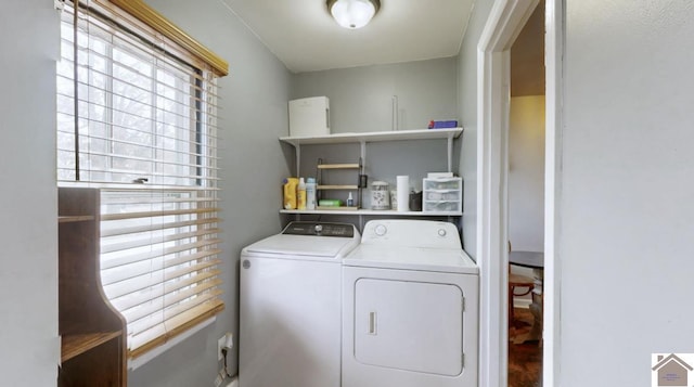 laundry area featuring washer and clothes dryer