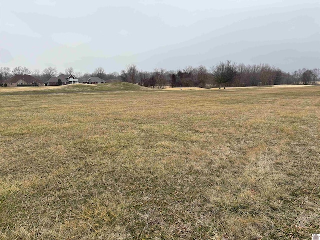 Listing photo 3 for LOT46 Clubhouse Dr, Ledbetter KY 40455