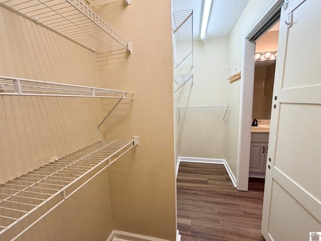 spacious closet with sink and hardwood / wood-style floors