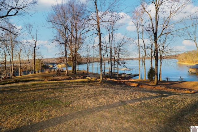 view of yard with a water view and a dock