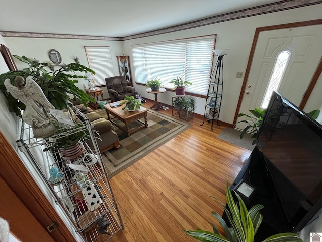 living room featuring hardwood / wood-style floors