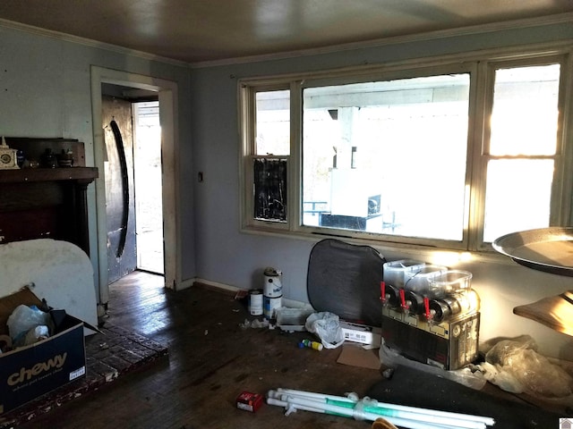 interior space with ornamental molding and dark wood-type flooring