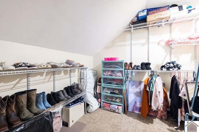 walk in closet with lofted ceiling and carpet