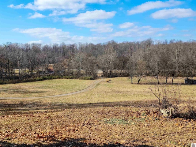 view of yard featuring a rural view