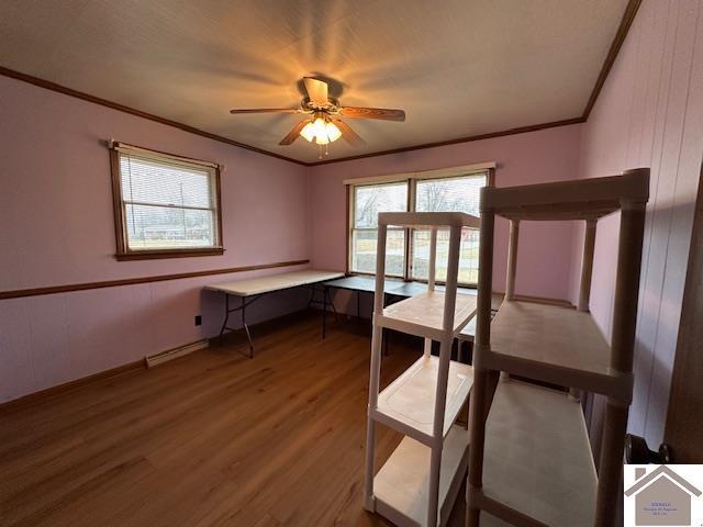 unfurnished office featuring crown molding, wood-type flooring, and ceiling fan