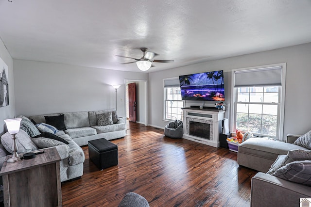 living room with ceiling fan and dark hardwood / wood-style flooring