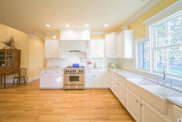 kitchen with white cabinetry and high end stainless steel range