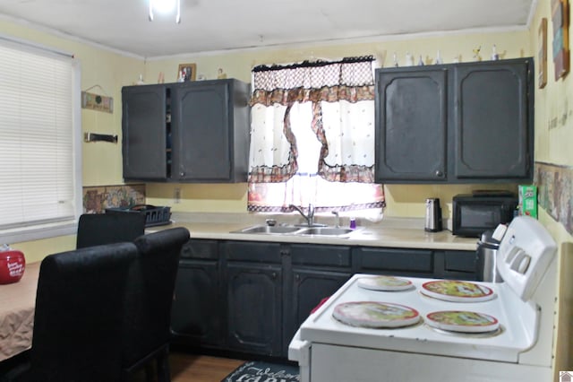 kitchen featuring white range with electric cooktop, dark hardwood / wood-style floors, and sink