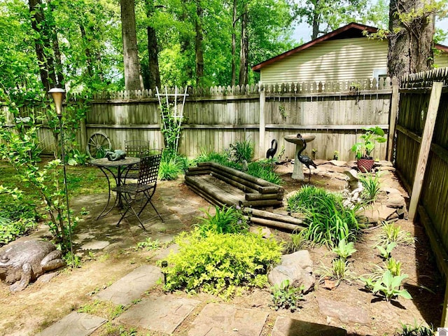 view of yard with a patio area