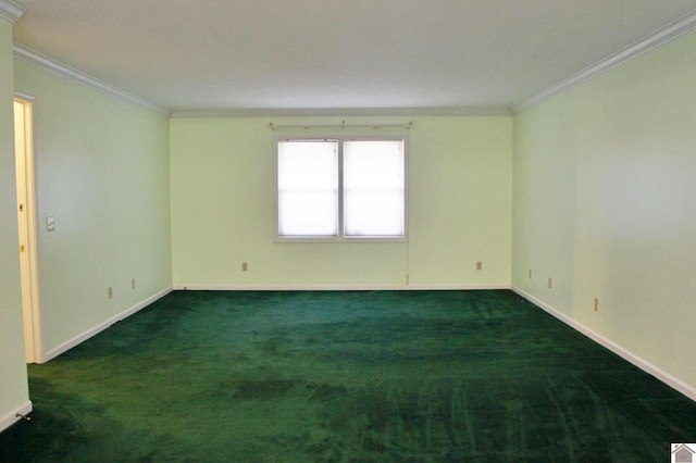 carpeted empty room with ornamental molding