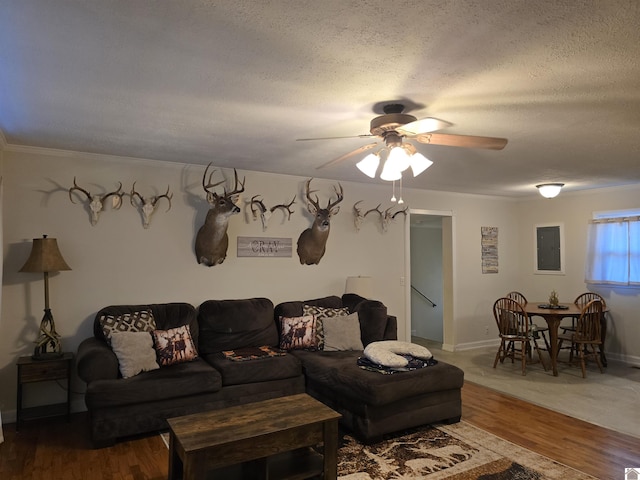 living room featuring ceiling fan, hardwood / wood-style floors, and a textured ceiling