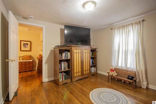 sitting room featuring wood-type flooring and a textured ceiling