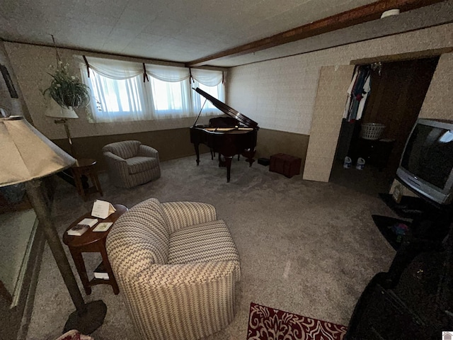 sitting room featuring carpet flooring