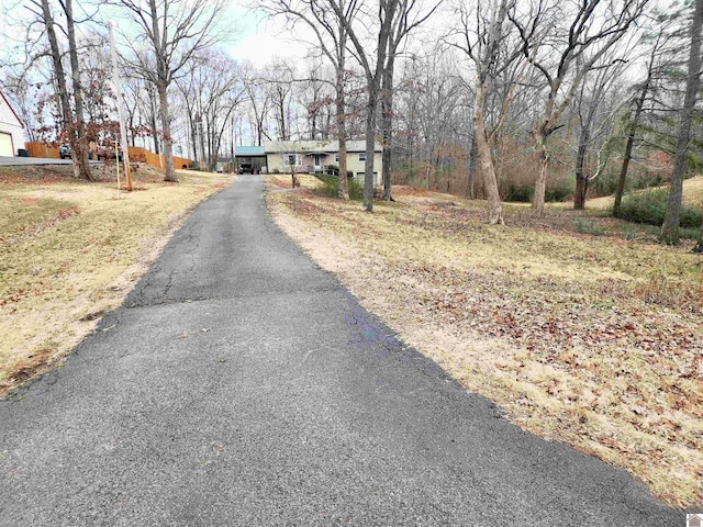 view of street with driveway