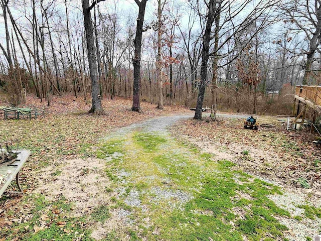 view of yard with dirt driveway