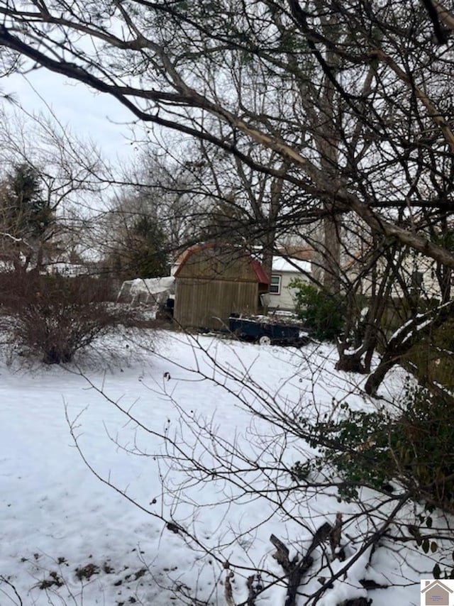 view of snowy yard