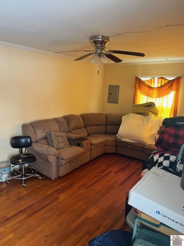 living area featuring ornamental molding, wood finished floors, electric panel, and a ceiling fan