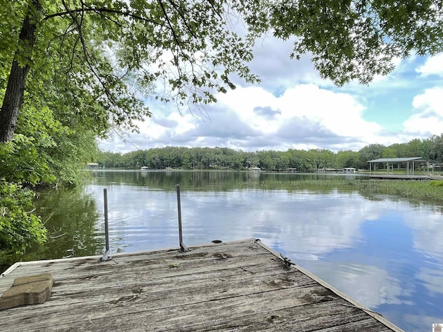 273 Bayshore Dr, Cadiz, KY 42211 - dock area with a water view