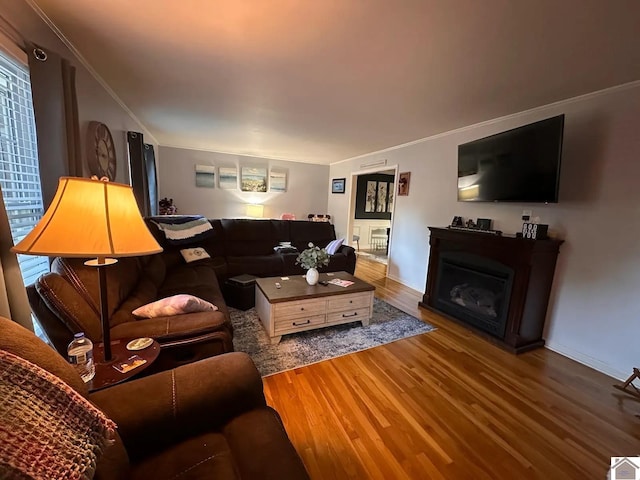 living area featuring ornamental molding, a fireplace, and wood finished floors