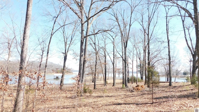 view of landscape with a water view