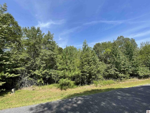 Eagle Look Ln, Murray, KY 42071