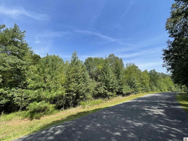 Eagle Look Ln, Murray, KY 42071