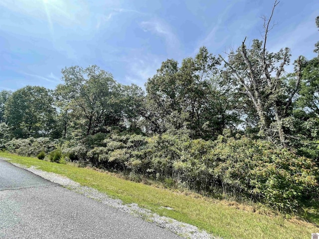 Deepwood Dr, Murray, KY 42071