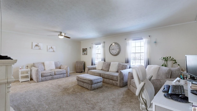 living room with carpet, crown molding, a ceiling fan, a textured ceiling, and baseboards